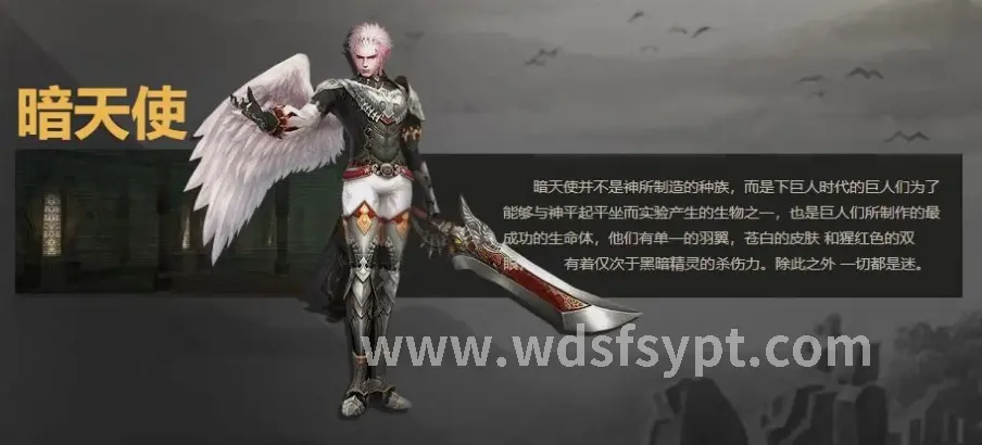 类型解析